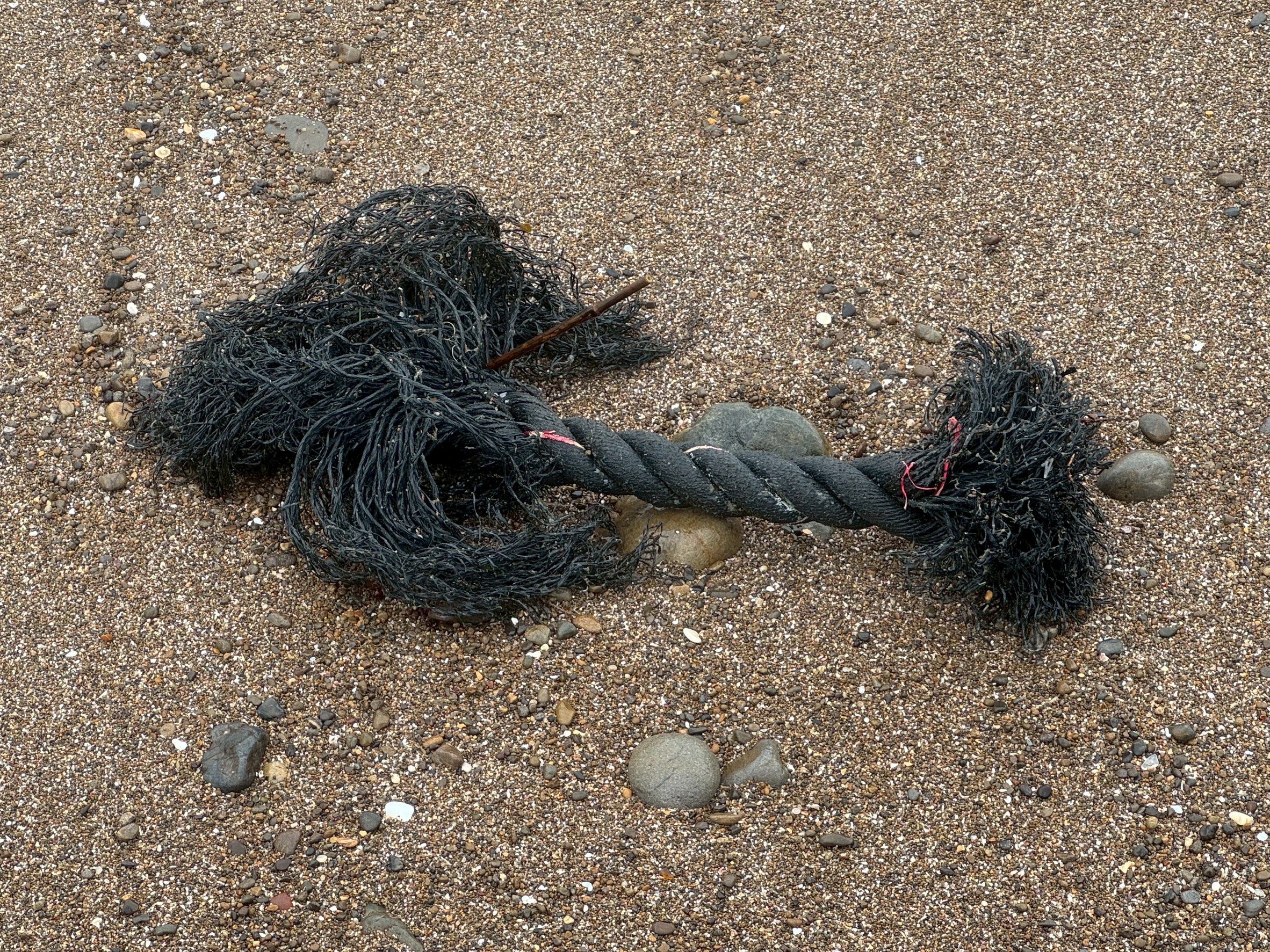 ゴーストギアとは、海中に放置されたり、流失したりした漁網やカゴ、ロープなどのことです。釣太郎