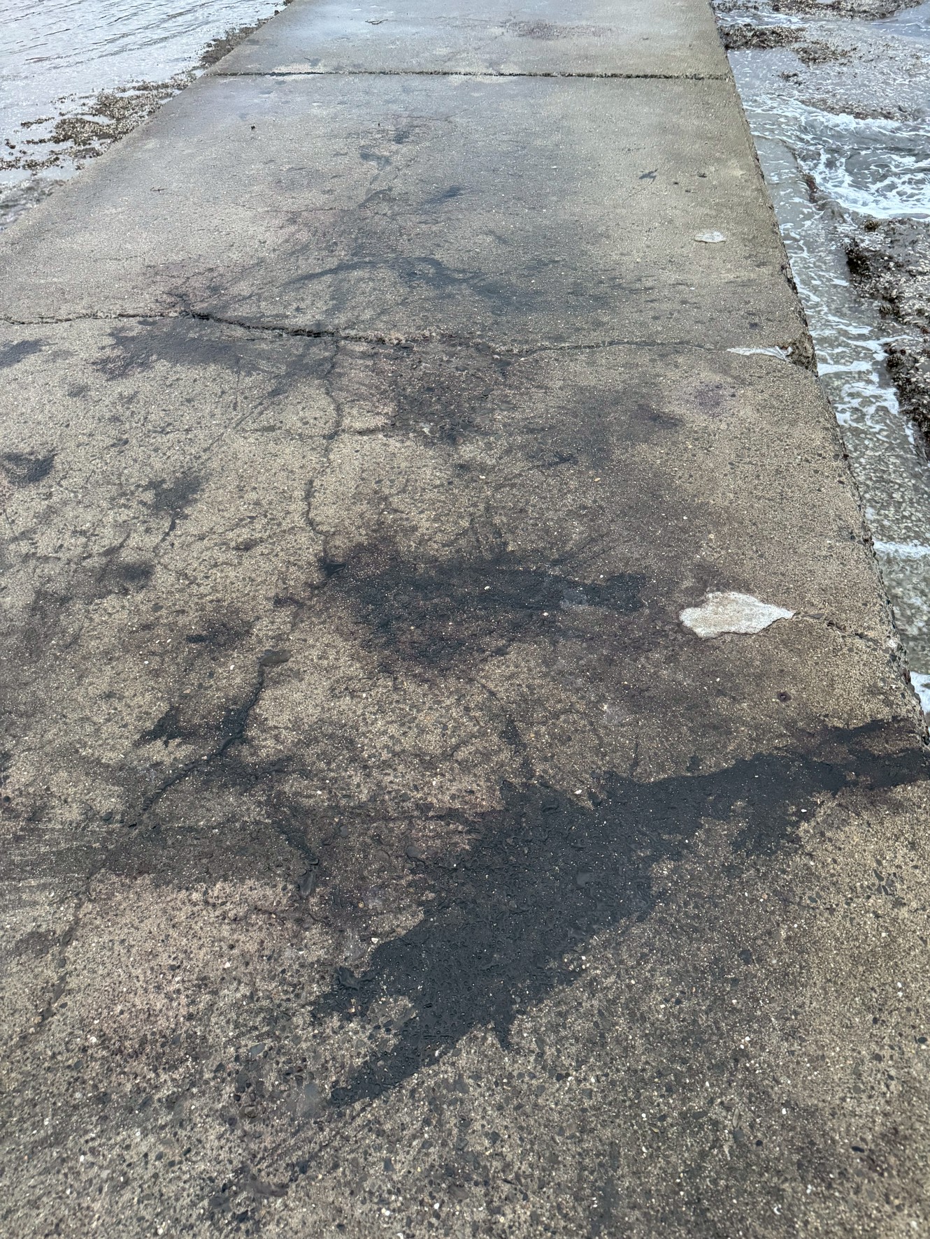 堤防に残る墨跡は、アオリイカが釣れた証であり、釣果の約30〜50％を可視化する痕跡。釣太郎