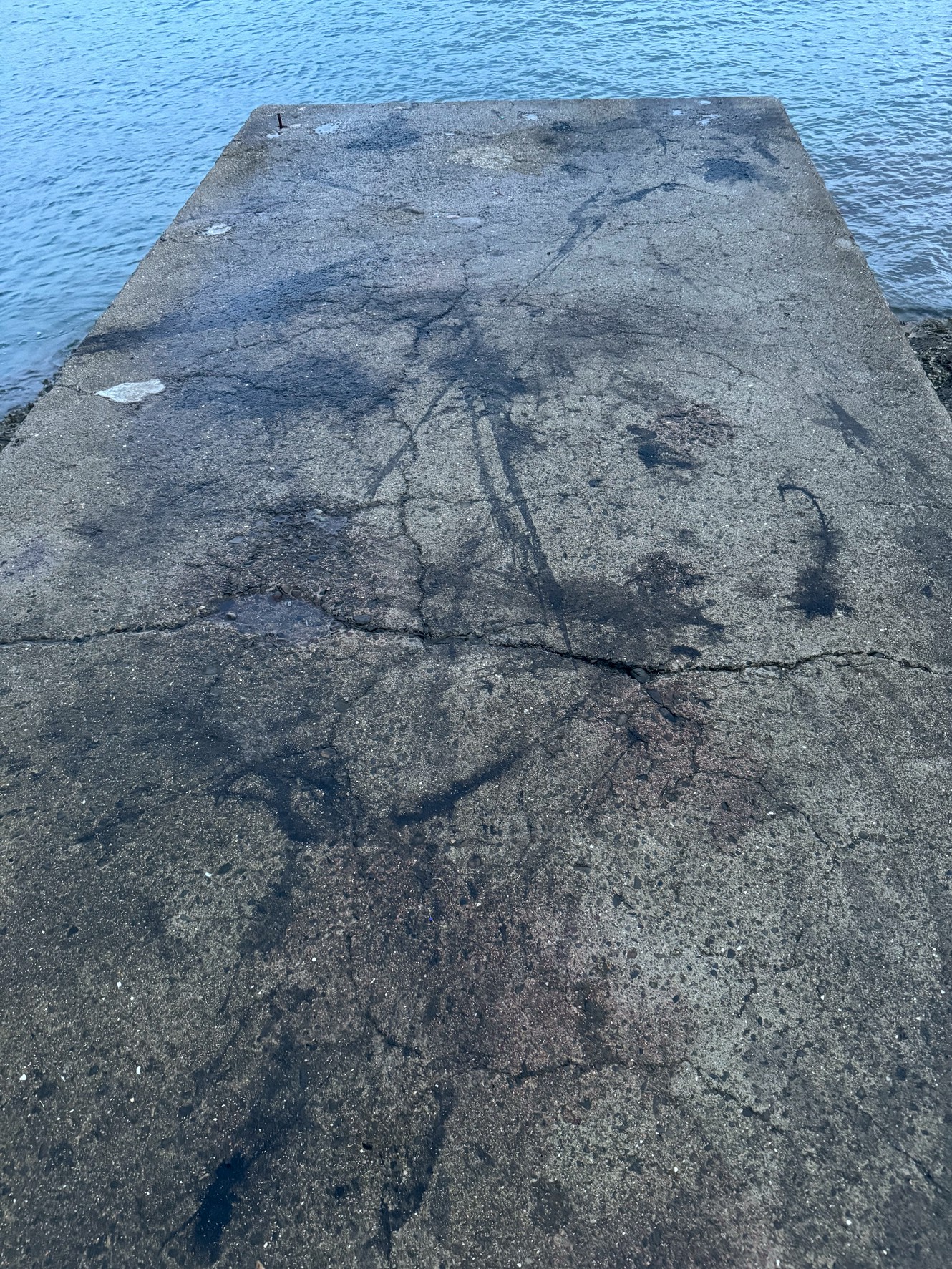 アオリイカを1杯釣り上げた場合・現場に墨跡が残る確率は約35〜40%。1カ所の墨跡に対して2.5〜3倍の釣果が隠れている。釣太郎