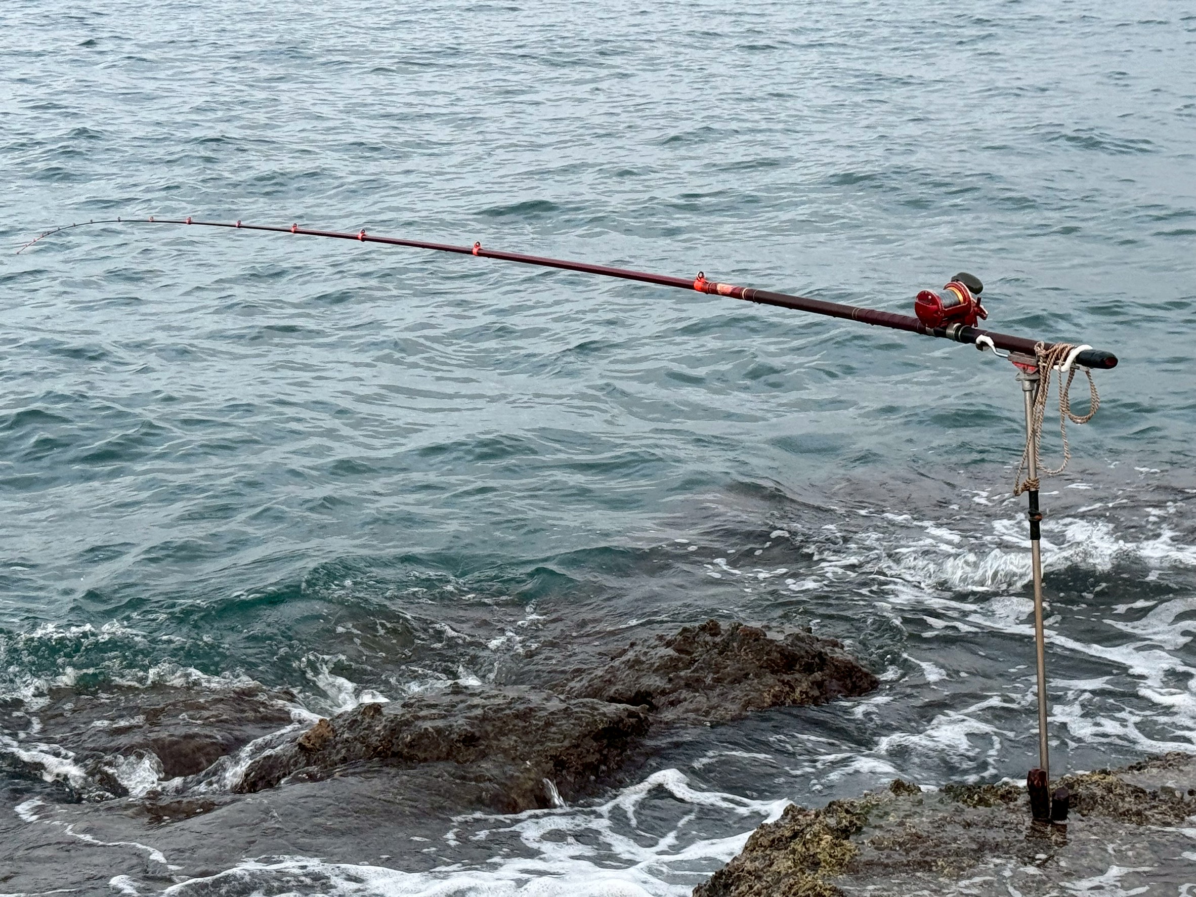 どことなく威風堂々とした石鯛釣り名人K師の竿。釣太郎
