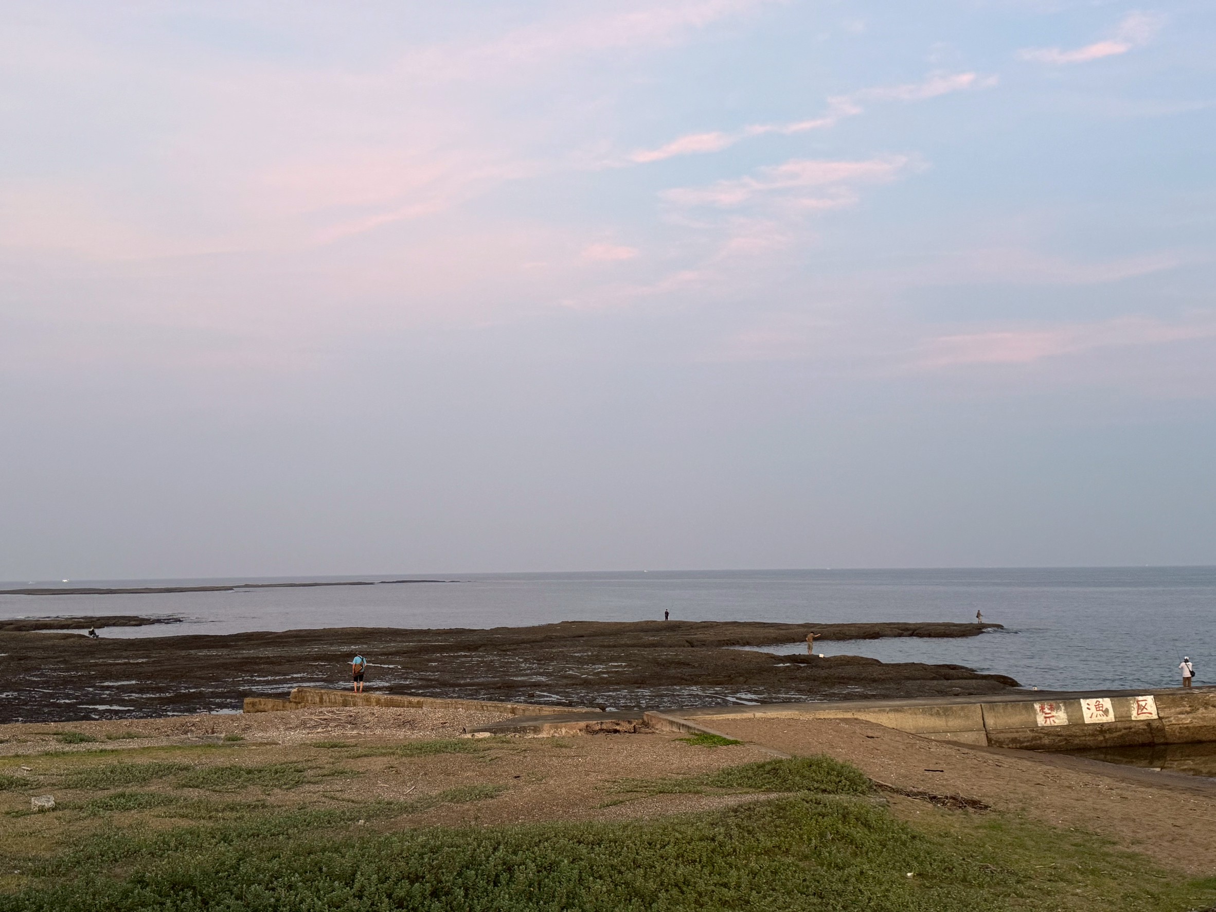 3連休最終日は、朝マズメ釣り復活しています。みなべ堺森の鼻ではエギングで新子アオリイカが釣れていました。釣太郎