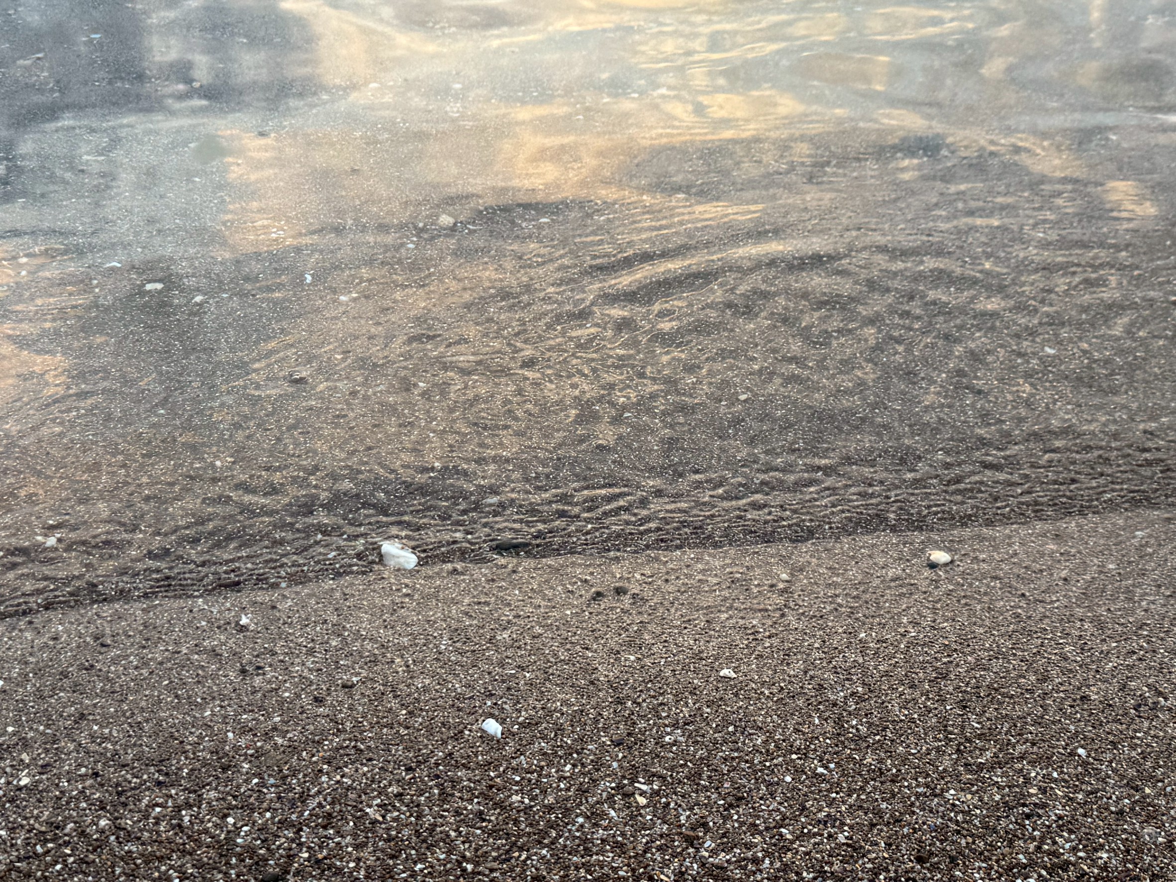 「潮の香り」は海水の匂いではなく、プランクトンや海藻の分解で発生するジメチルスルフィドが主成分。干潮や波打ち際、温暖な季節に匂いを強く感じやすい。都会人は日常との匂いのギャップで特に敏感に感じる。釣太郎