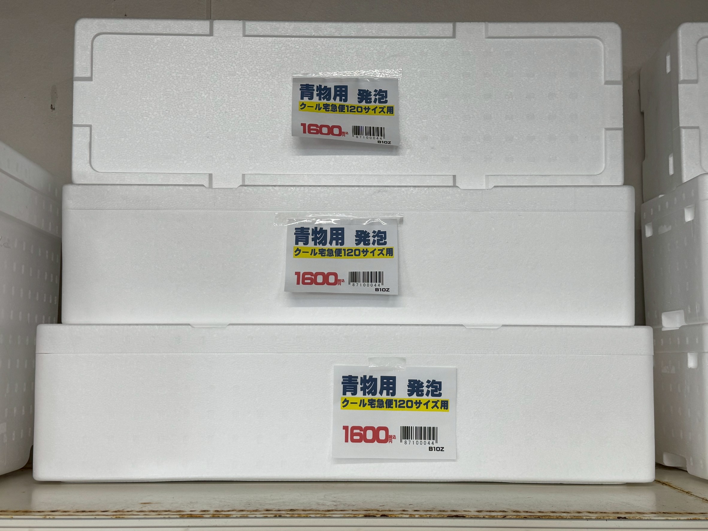 魚、クール宅急便で送れる最大サイズがこれ。内寸70㎝。釣太郎