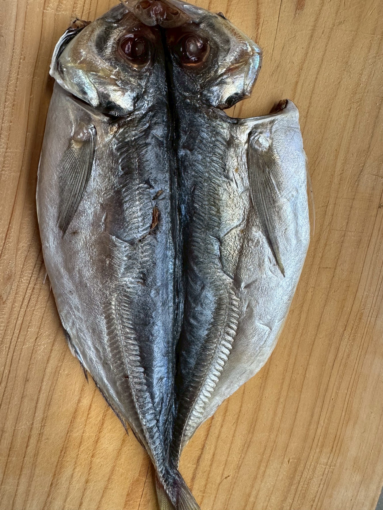 アジの干物と一言で言ってもピンキリ。その秘密は冷凍の頻度。回数が多ければ多いほど美味しさが消え、身がぱさぱさになる。釣太郎