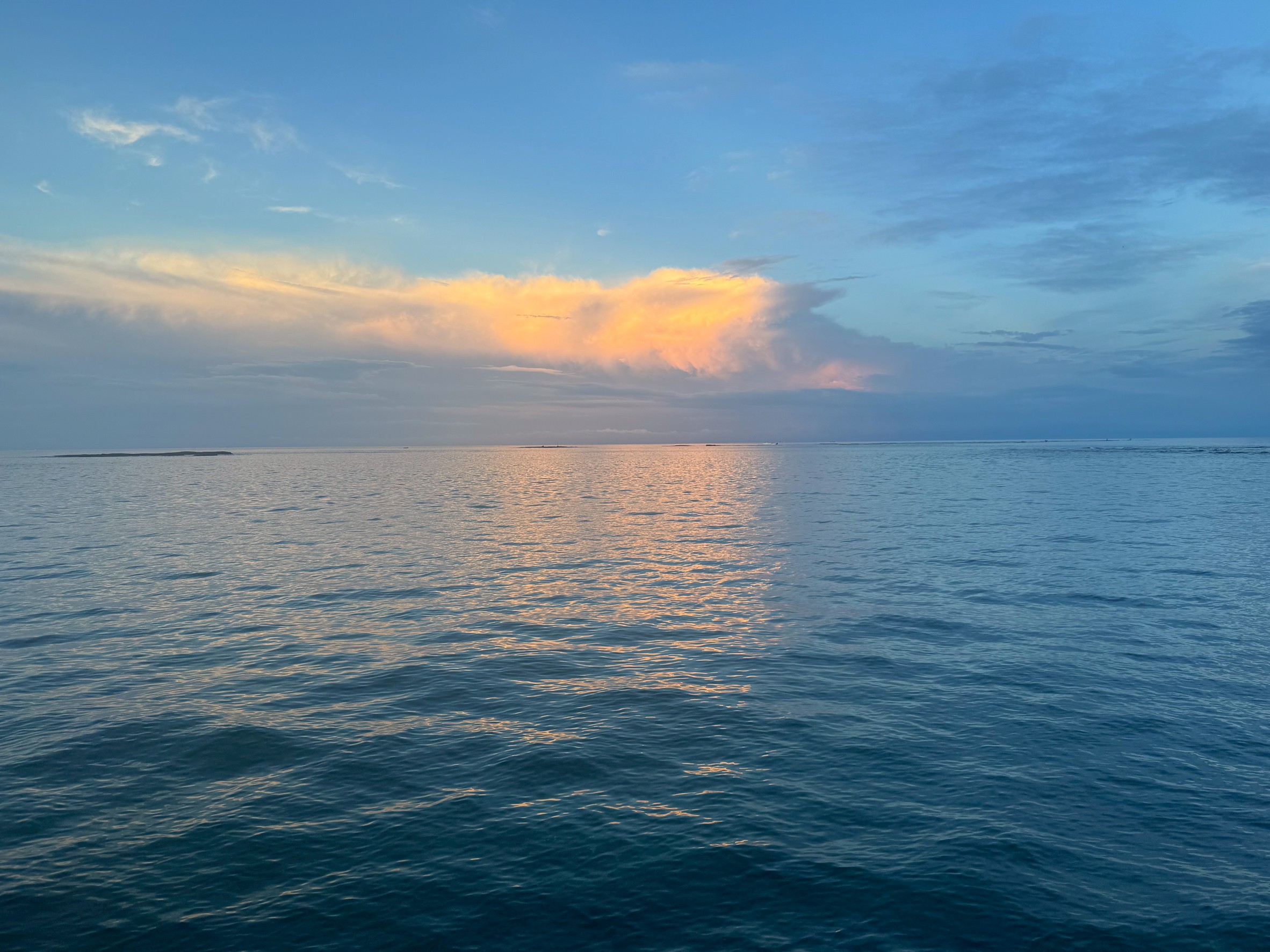 南紀の秋は、魚種も豊富で一年の中でも特に釣果が期待できる季節。 朝マズメの冷え込み対策をしつつ、科学的根拠に基づいたポイント選びと釣法で、最高の一尾に出会いましょう。釣太郎