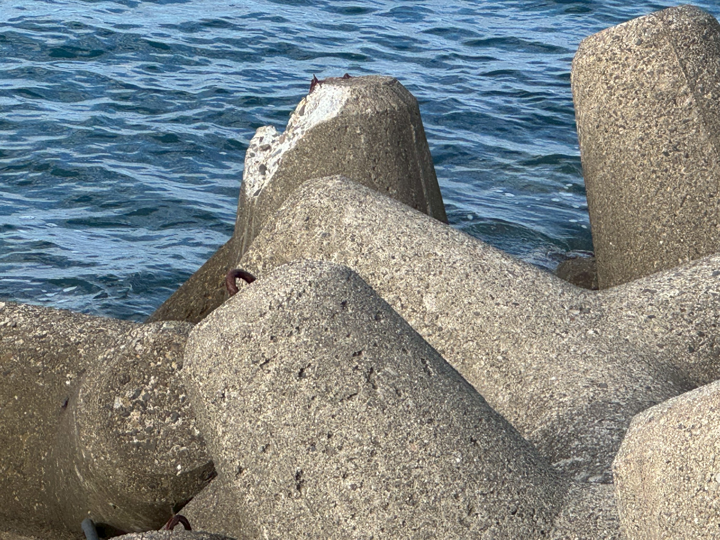 海の力は想像以上！消波ブロック（テトラポッド）が折れる理由と防波堤の危険性を徹底解説。釣太郎