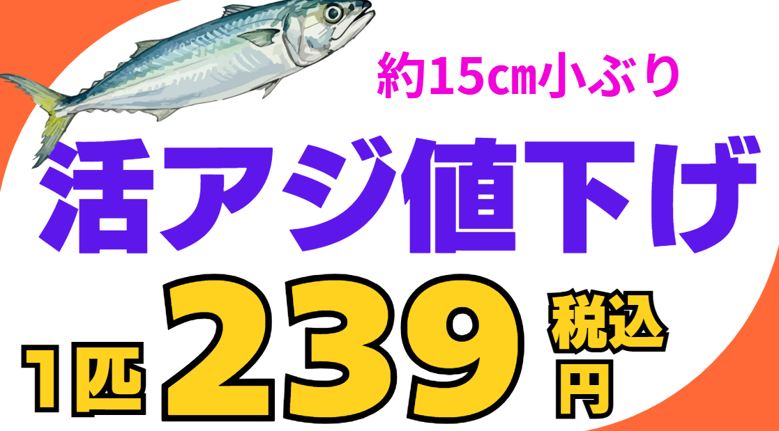活アジ約15㎝、アオリイカ＆飲ませ釣用。1匹239円(税込)。釣太郎