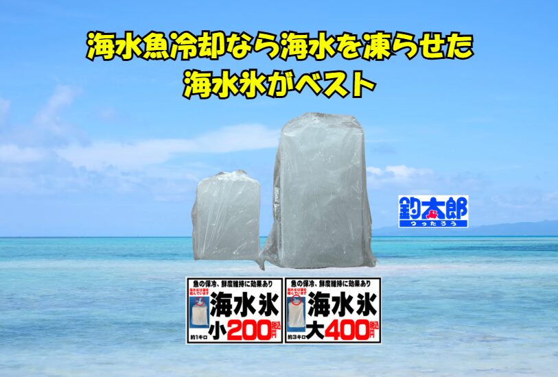 「海水氷」は、もはや単なる氷ではありません。釣った魚への敬意と、その価値を最大限に引き出すことを約束する信頼のブランドです。釣太郎