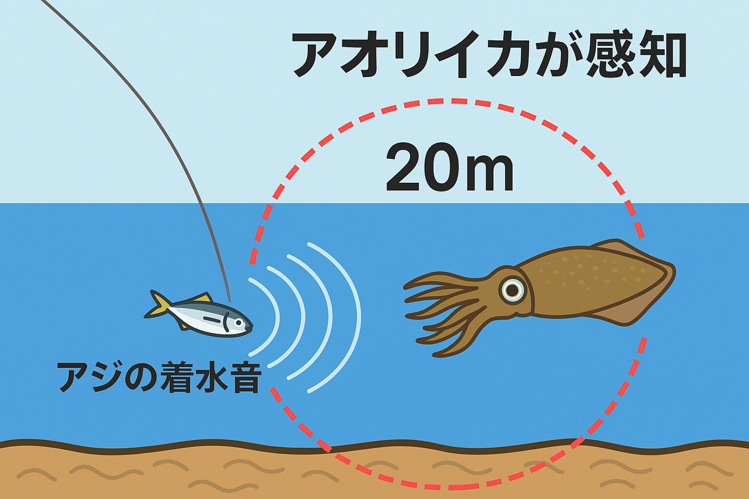アオリイカが活アジ着水音・振動を感知できる距離:最大25m。警戒せず自然に寄ってくる距離:8〜12m前後
。最も抱きつき率が高い範囲:10〜15mゾーン。釣太郎