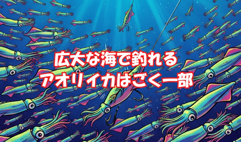 これだけ釣られていると、「資源は大丈夫なのか？」と心配になるかもしれません。 しかし、結論から言えば、私たちが釣獲・漁獲しているアオリイカは、広大な海に生息するアオリイカ全体の、ごく一部に過ぎない可能性が非常に高い。釣太郎