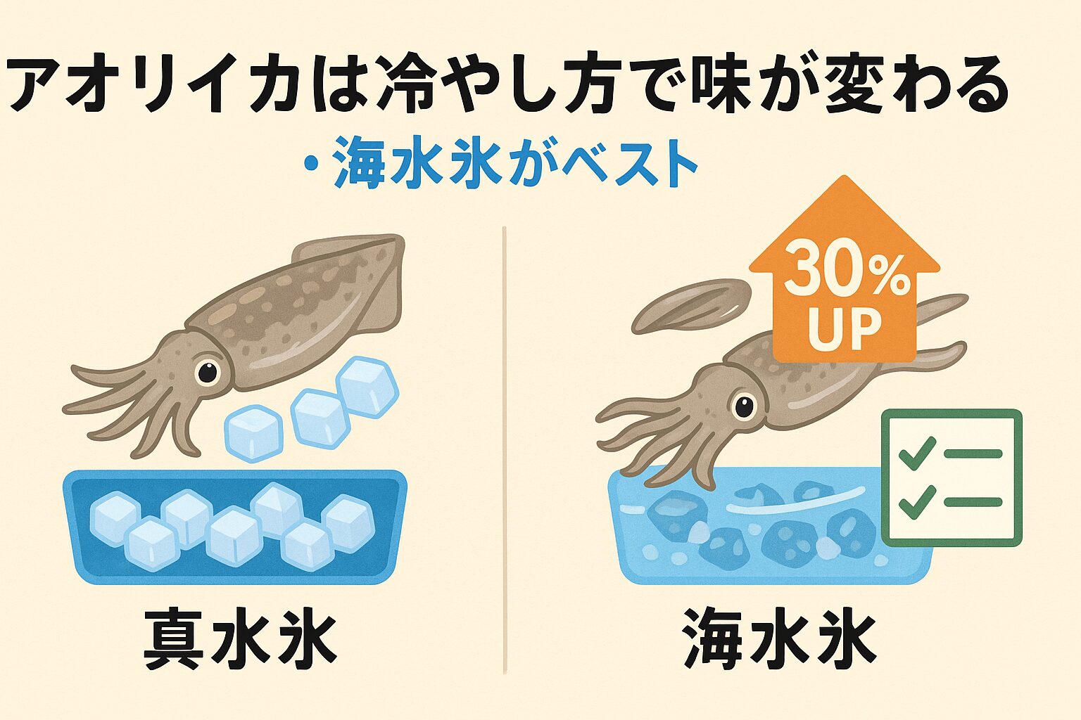アオリイカの“海水氷冷却”で旨味アップ30％。釣太郎