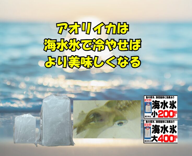 アオリイカを最高の味で楽しむ秘訣は、「釣った直後に、いかに速く、氷点下で、細胞を壊さずに冷やすか」に尽きます。その唯一の答えが「海水氷」釣太郎
