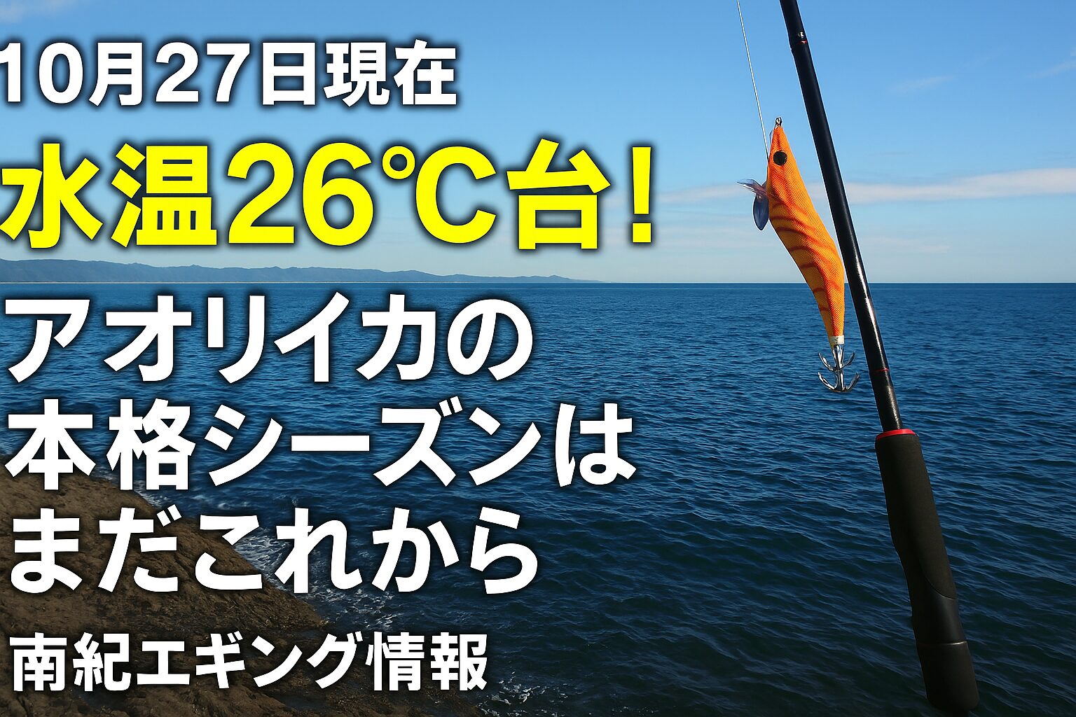 10月27日現在の南紀水温は26℃台。アオリイカの適水温は23℃前後。今は深場中心、これからが本番。11月上旬〜中旬がシーズンピーク予想。焦らず、準備を整えておくタイミングです。 エギ、ギャフ、活アジ、海水氷――すべて揃えて、南紀エギングの本格開幕に備えましょう。釣太郎