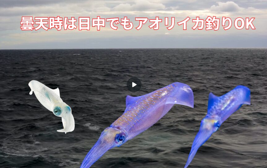 アオリイカ釣り、日中日が昇ると釣り難いのですが、曇天時は浮いていることも多いのでチャンス。釣太郎