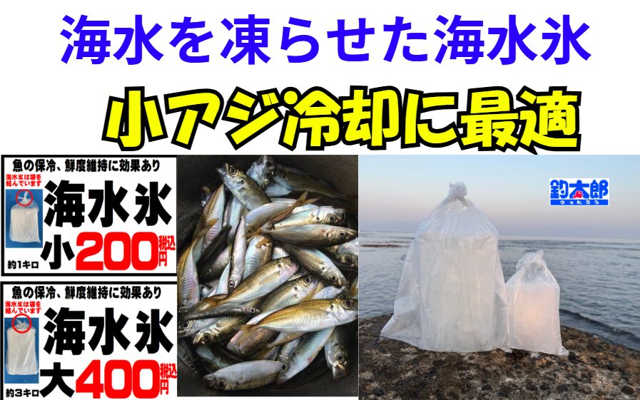 釣太郎の海水氷が売れているのは、多くの釣り人がその効果を実感している何よりの証拠です。