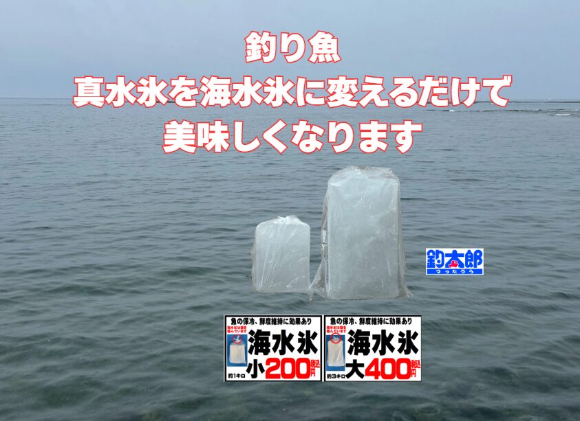 【魚の味が落ちる原因は氷】あなたの釣果、真水氷で台無しになっていませんか？海水氷なら大丈夫。釣太郎
