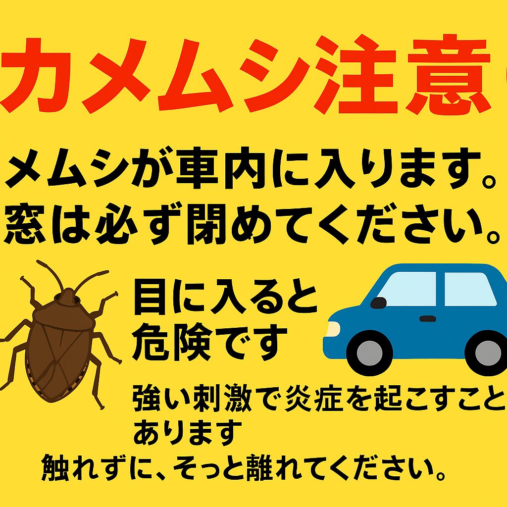 カメムシが車内に入ります。窓は必ず閉めてください。目に入ると危険です。強い刺激で炎症を起こすことがあります。触れずに、そっと離れてください。釣太郎