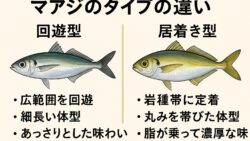 釣太郎ブログ