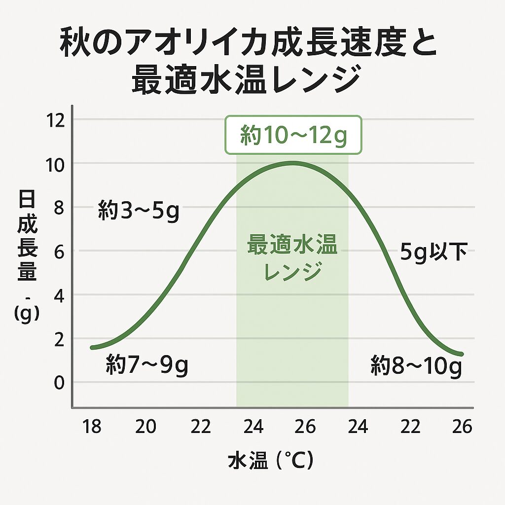 秋のアオリイカは1日7〜10gペースで成長。 最適水温レンジは21〜23℃。18℃以下、26℃以上では成長鈍化。水温1℃の違いが釣果を左右する。釣太郎
