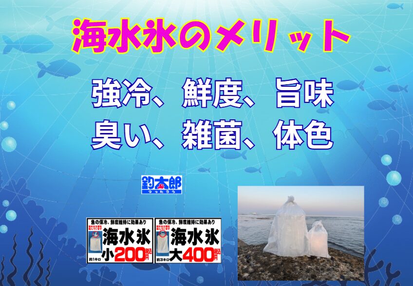 真水に触れた魚は、浸透圧で細胞が破壊され、旨味成分（ドリップ）が流出します。これが味を落とし、身を白っぽく変色させる原因です。魚の体液に近い塩分濃度の海水氷は、細胞を破壊しないため、旨味も見た目も釣れたてのまま。釣太郎