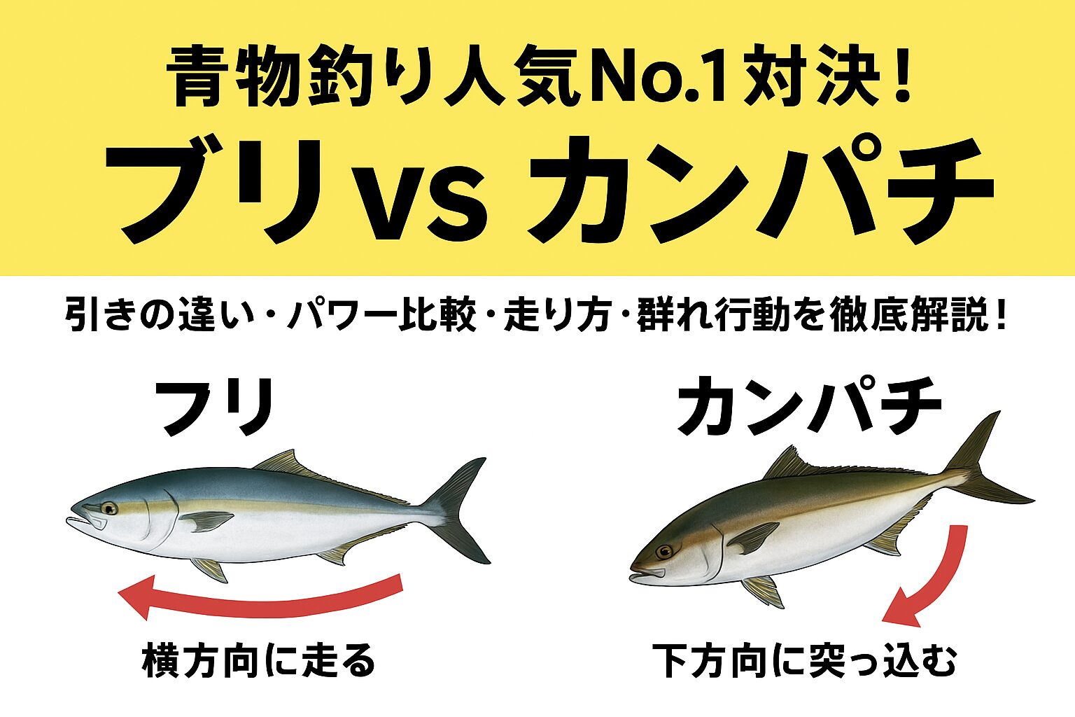 青物釣りで最も人気のブリとカンパチ。両者は似て非なるファイター。ブリはスピード型で横走り、カンパチはパワー型で縦突っ込み。 走る方向も異なり、同じ群れではほとんど混じりません。釣太郎