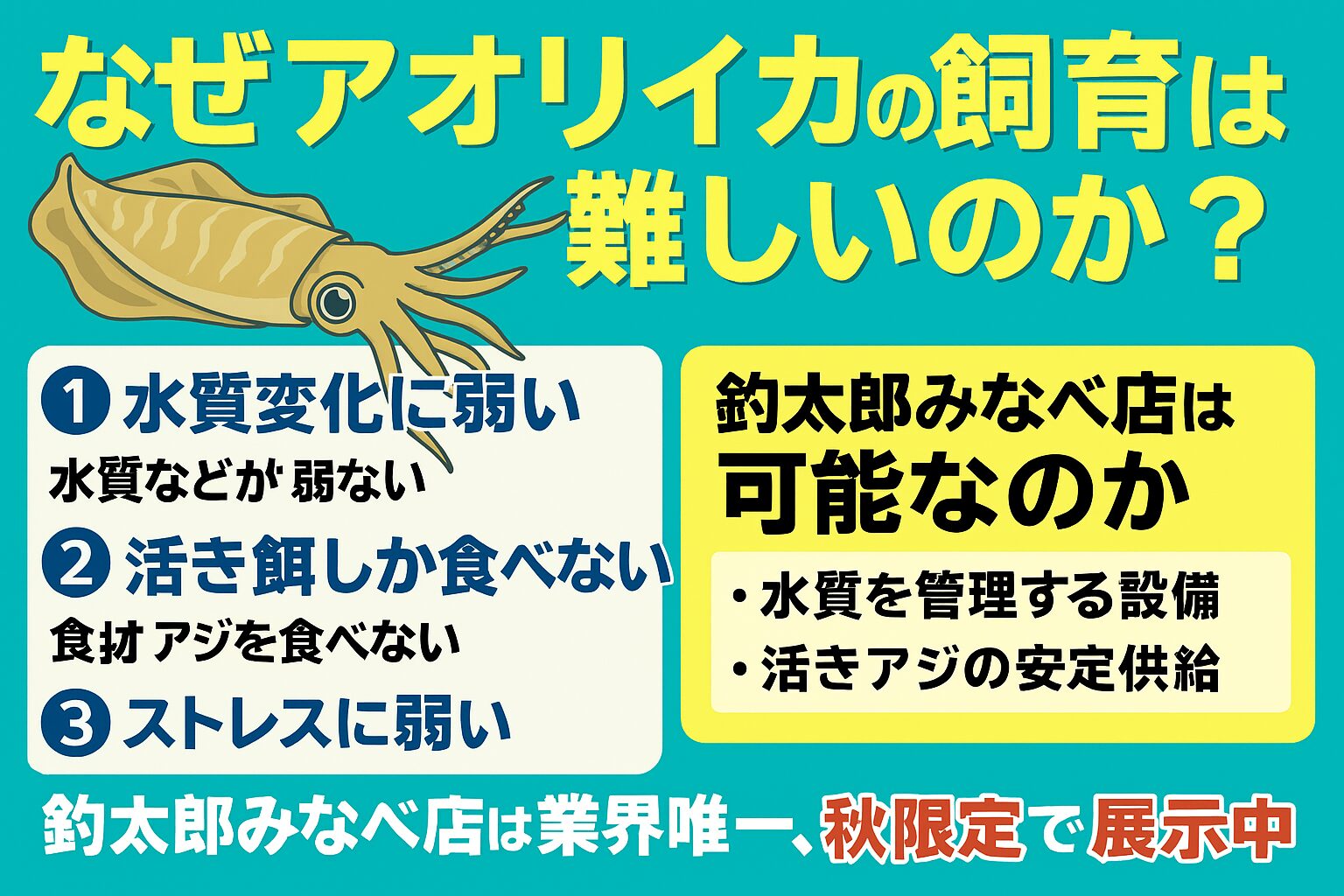 水族館の約95％がアオリイカ飼育を断念するほど難易度が高い。 原因は「水質・ストレス・エサ」の三重苦 。釣太郎みなべ店は独自の設備と知識で展示を実現。秋限定で、今しか見られない超貴重な生展示