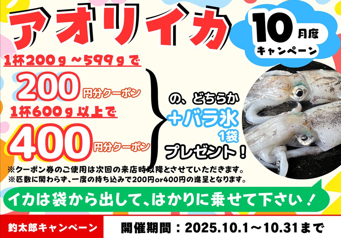アオリイカどんどんお持ち込みください。クーポン券、山のように用意してお待ちしています。釣太郎