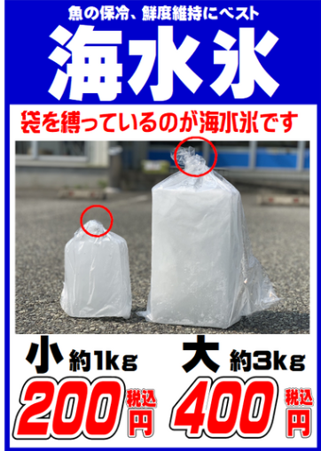 釣太郎の看板商品「海水氷」は地元黒潮の海水を凍らせており、魚冷却には最高級品。釣り人から高い評価を得ています。