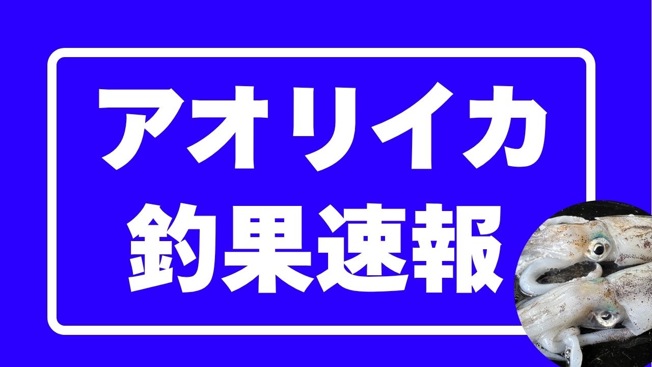 釣太郎のアオリイカ釣果速報。