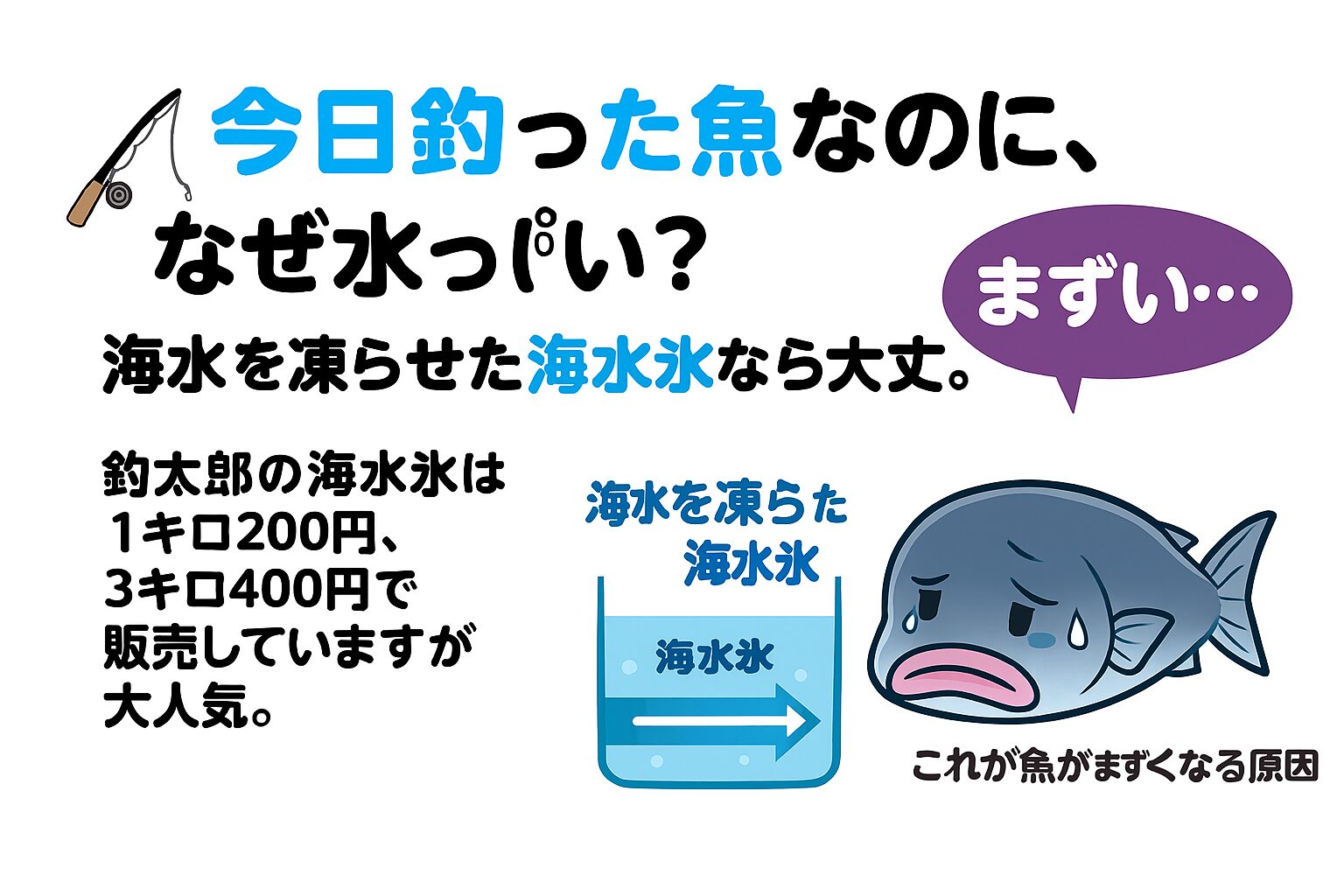 釣ったばかりの魚なのに、食べてみると身がブヨブヨ、水っぽくて旨味がない…。 その原因は「真水氷」による浸透圧の影響.海水を凍らせた「海水氷」は、魚の体液と塩分濃度が近いため、浸透圧の影響がほぼありません。釣太郎