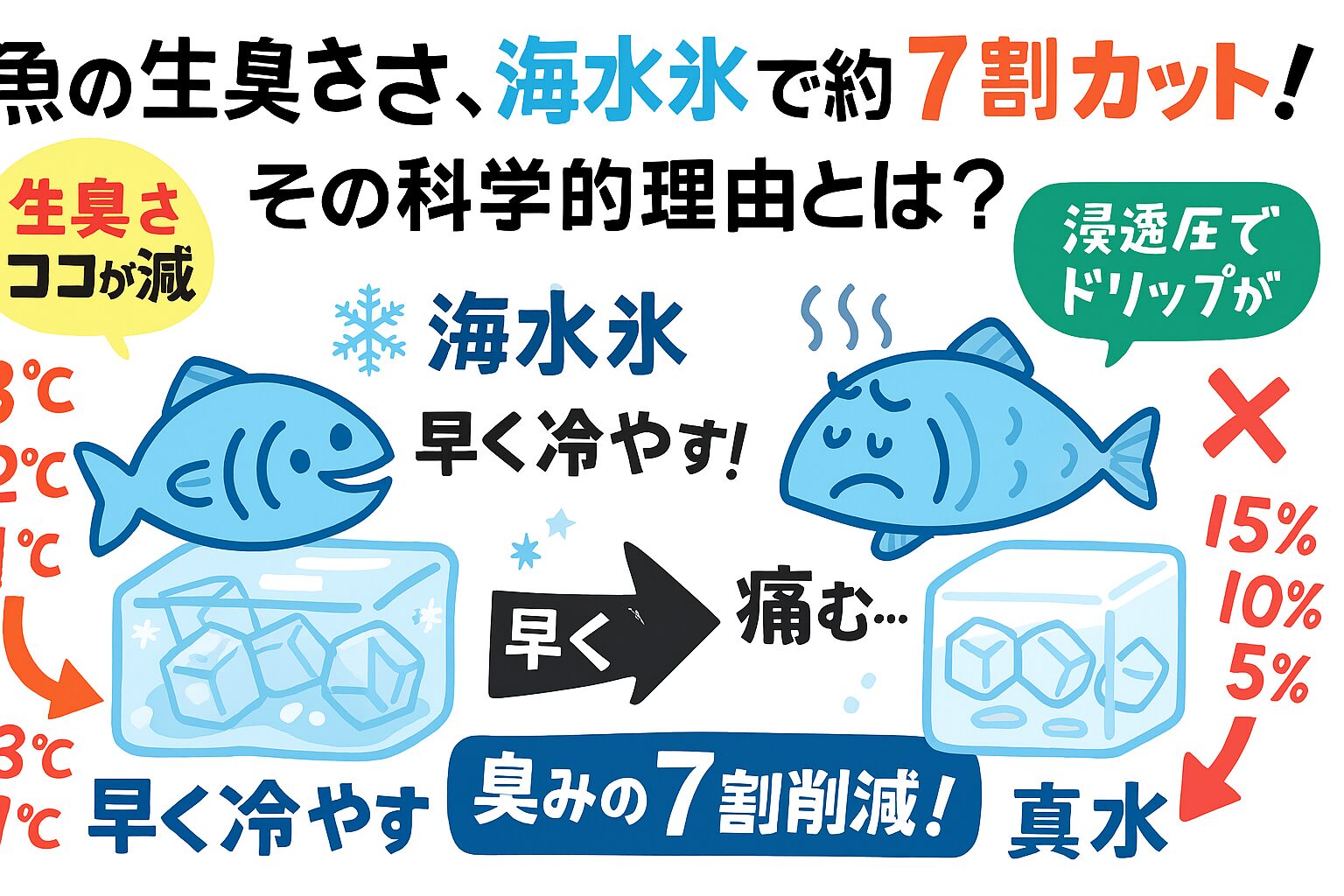 魚の生臭い匂いは、海水氷を使えば真水氷の7割削減できる。釣太郎