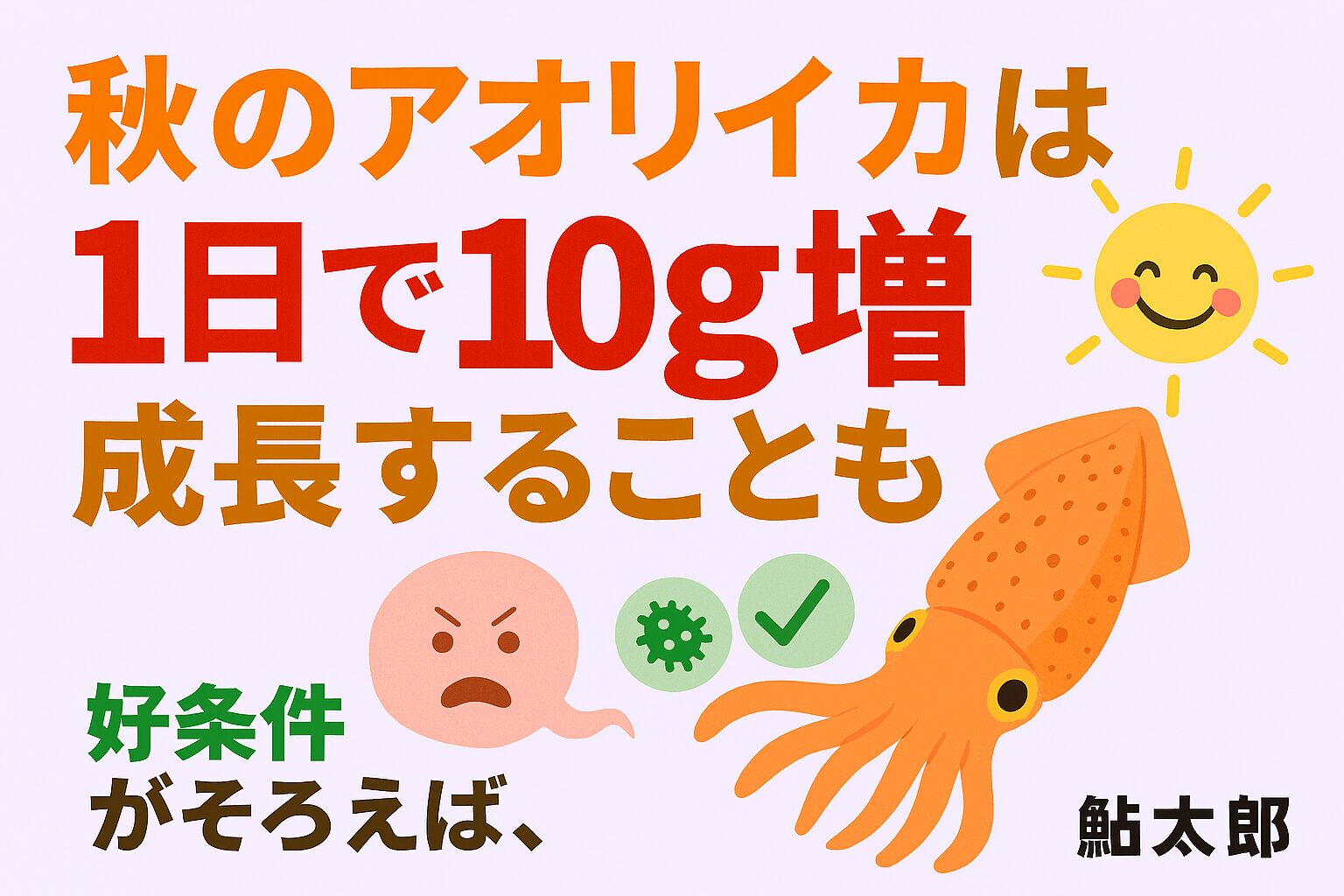 秋イカは「成長を見守る釣り」が楽しい 秋のアオリイカは、環境次第で1日5〜10gの成長を遂げる驚異の生物。釣太郎