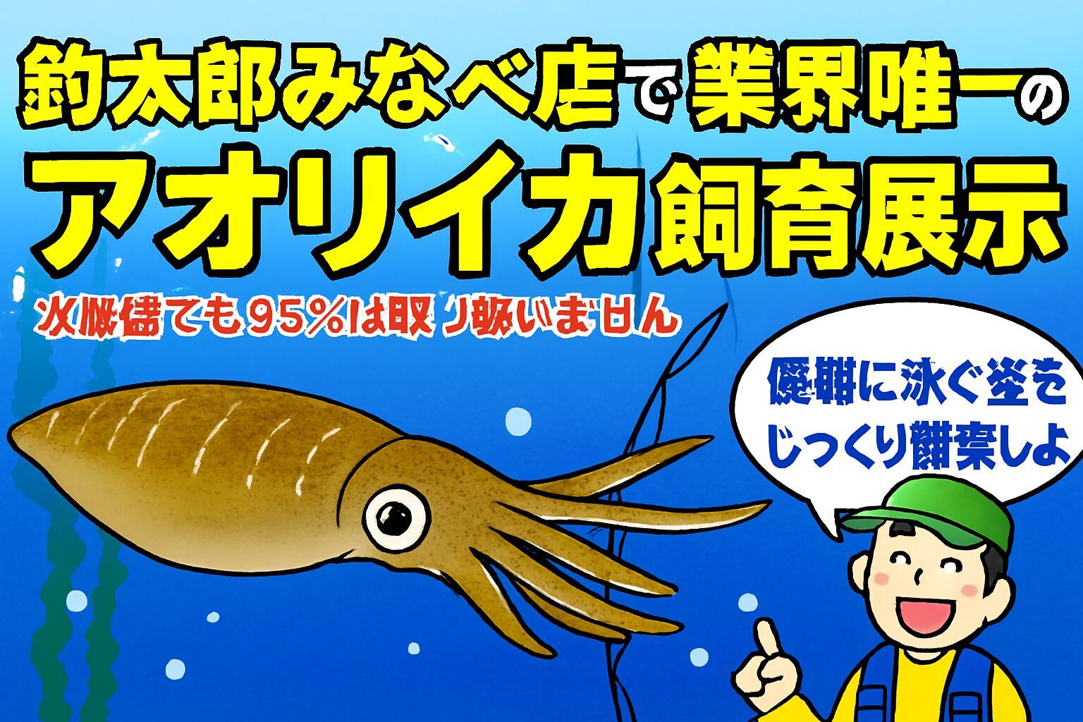 優雅に泳ぐ姿を、じっくり観察しよう。アオリイカは、透明感のある体と、なめらかなヒレの動きが特徴。 水槽内をふわりと漂うように泳ぐ姿は、まるで海中の舞踏。釣太郎みなべ店
