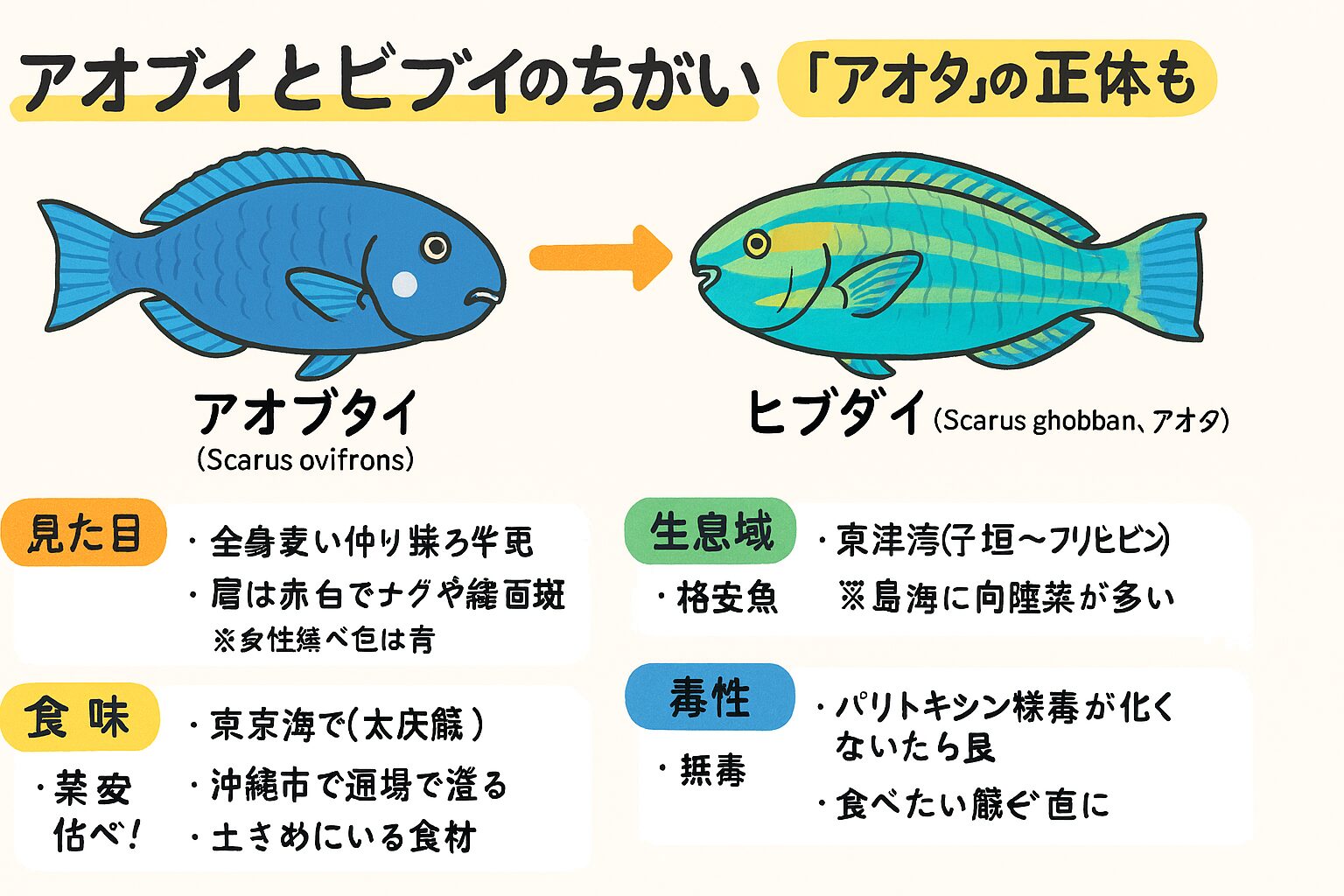 アオブダイは毒性の可能性があるため、食用は慎重に。ヒブダイ（アオタ）は高級魚として人気。見た目と地方名で混同しないよう注意。釣太郎