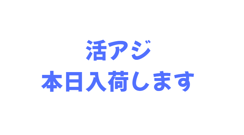 アオリイカ釣り用活アジ、本日入荷します。ノマセにも使える１４㎝。釣太郎
