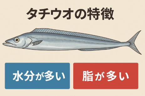 タチウオは「脂の旨味×水分の柔らかさ」が絶妙に共存する魚。 釣った直後の処理を丁寧にすれば、 干しても焼いてもとろけるような食感になります。釣太郎