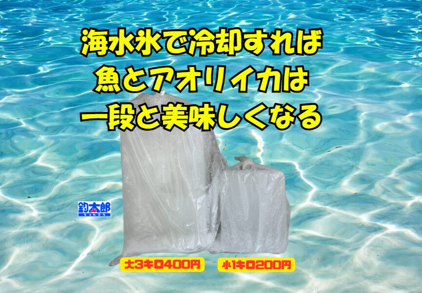 釣り上げた瞬間から、魚の美味しさは時間との勝負。冷やし方ひとつで、その価値が変わります。
次の釣行ではぜひ、釣太郎の海水氷をお試しください。きっとあなたも、99%のリピーターの仲間入りです。