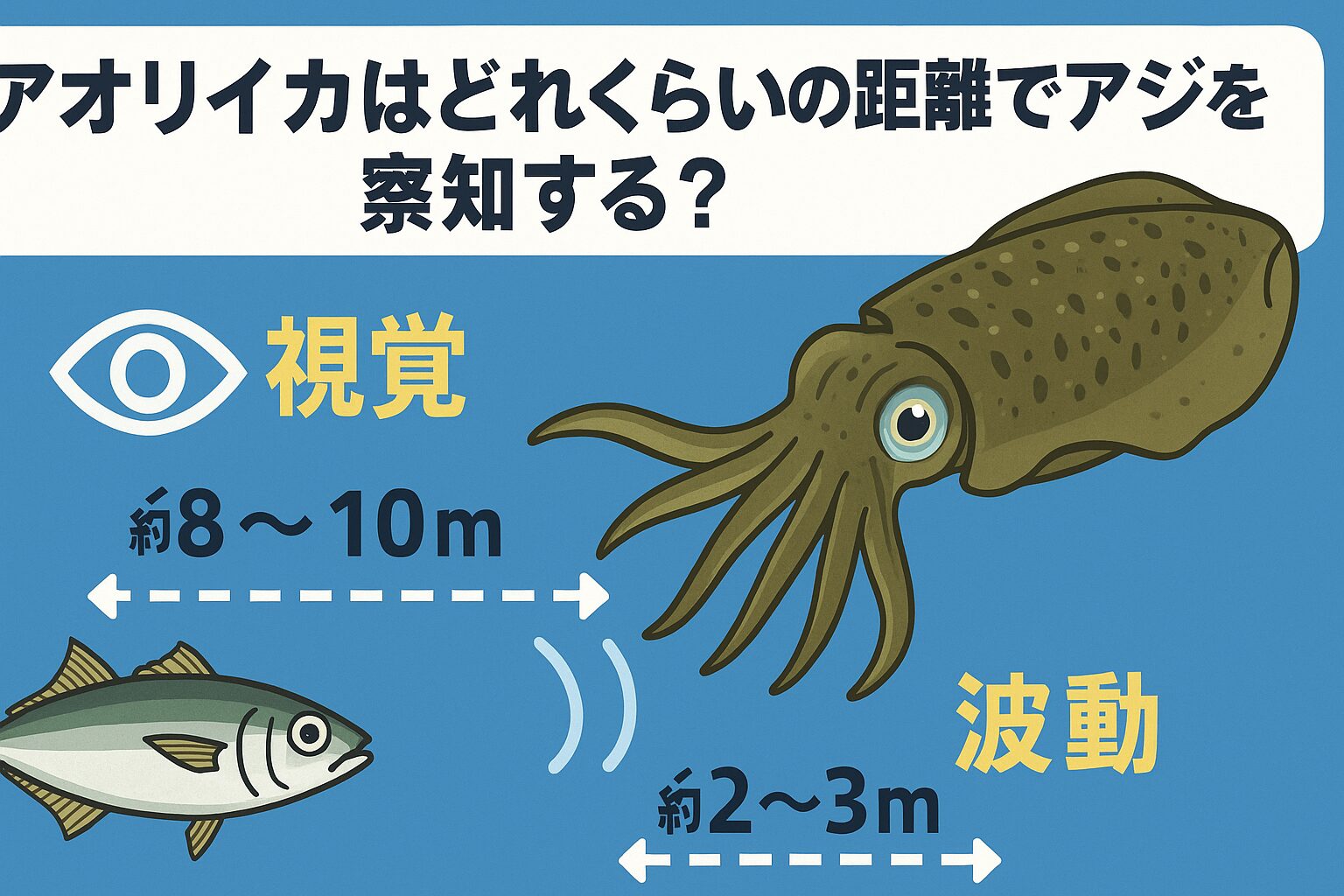 アオリイカは、アジを最大10m先から視覚で察知し、2〜3m以内では波動を頼りに最終捕食を行う生き物です。感知割合は視覚55%・波動30%・嗅覚15%。釣太郎