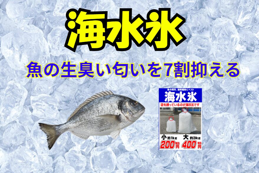 海水氷で保存すれば、臭いの発生を約70%抑えられるだけでなく、鮮度・旨味・見た目の三拍子がそろう最高の状態を保てます。釣太郎