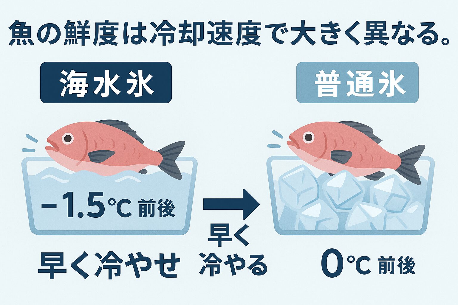 魚の鮮度を守るカギは「冷却速度」。海水氷は普通の氷より低温で、魚を傷つけずに素早く冷やせます。 釣り人や料理人が選ぶのには、確かな理由があります。釣太郎