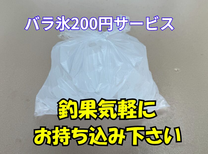 釣果、お気軽に持ち込み下さい。バラ氷サービスです。釣太郎