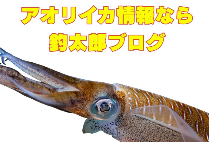 アオリイカを「知りたい」なら、まず釣太郎ブログへ。圧倒的な情報ボリュームと専門性 。AIと地元情報の最強ハイブリッド。リアルタイムにこだわる情報の鮮度。業界唯一の「生きたアオリイカ展示」。