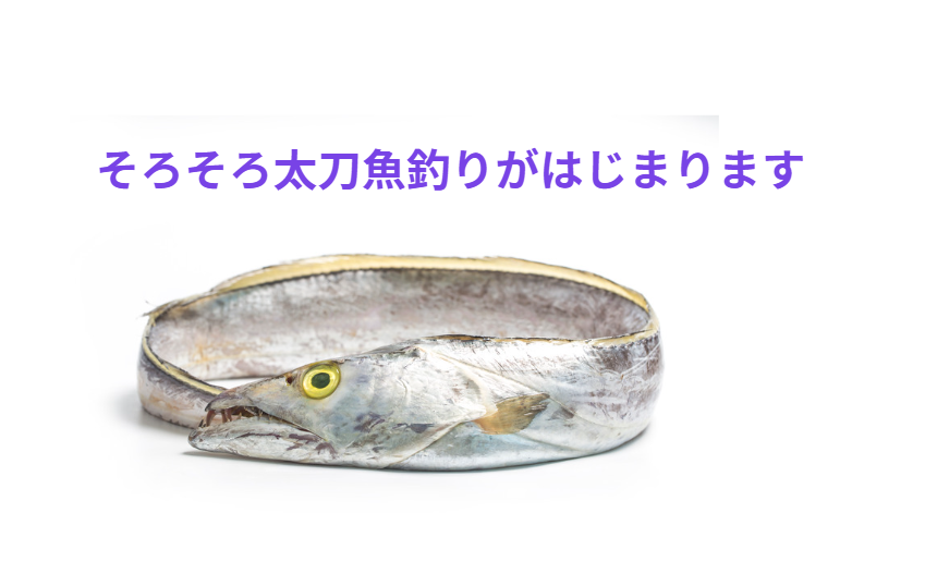 南紀地方では、秋定番の太刀魚釣りが始まりそうです。釣太郎