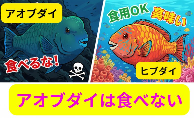 アオブダイ（アオタ）: 青く、コブがあり、大型になる。猛毒（パリトキシン様毒）を持つため食用厳禁。ヒブダイ: 赤く、コブはなく、食用にされる（ただしシガテラ毒には注意）。釣太郎