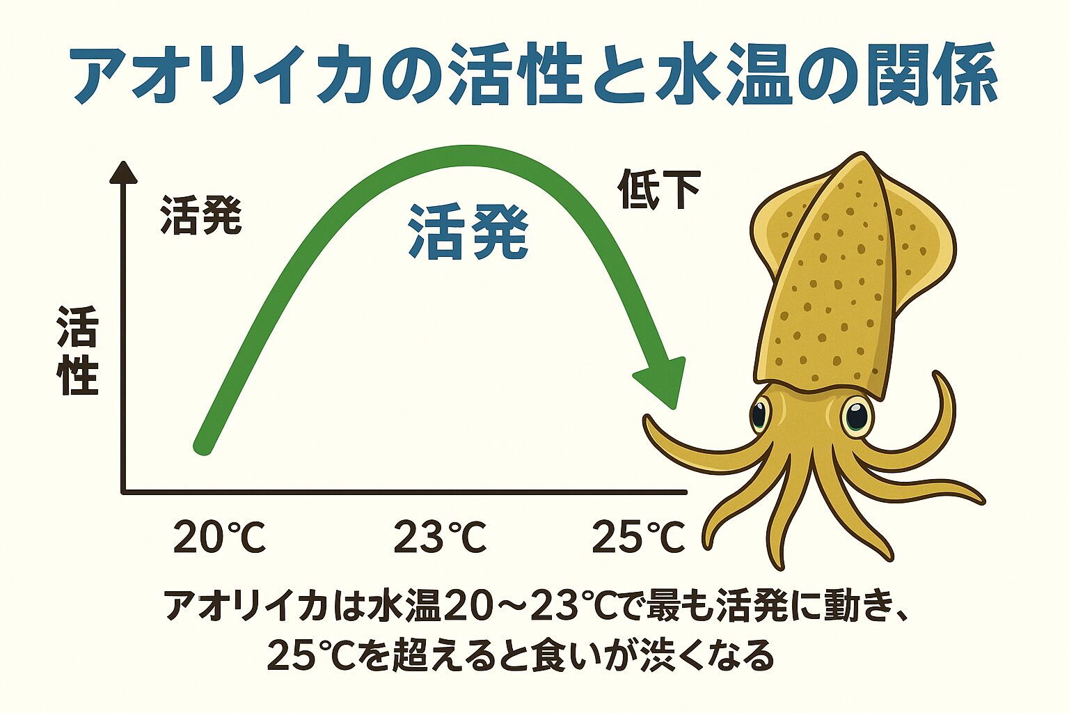 アオリイカが最も活発に動くのは水温20〜23℃。25℃を超えると酸素不足と代謝過多で動きが鈍る。高水温期は深場・夜・潮通しの良い場所を狙う。・春と秋が最盛期、夏は避けるのが無難。 釣果アップのコツは「気温」ではなく「水温」。釣太郎