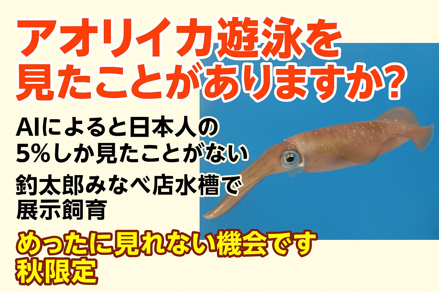 アオリイカの遊泳を見たことがある日本人はわずか5％・釣太郎みなべ店では秋限定で生体展示中・アオリイカの色変化・泳ぎ方・捕食行動を間近で観察できる・南紀の自然と釣り文化が融合した唯一無二の展示。