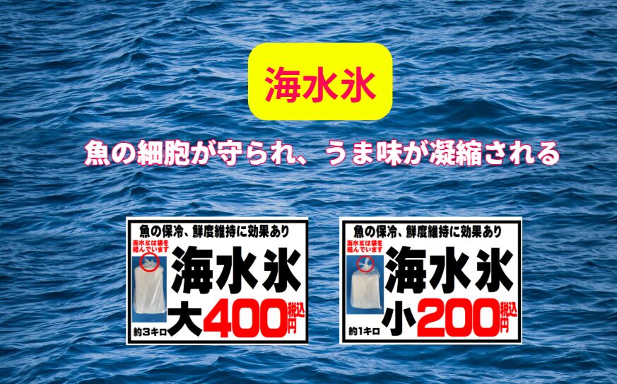 釣太郎の海水氷が人気の理由。凝固点降下による、0℃以下の強力な冷却力。魚の旨味を逃さない、最適な浸透圧。鮮度を保つ天然のミネラル。