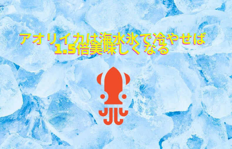 真水氷でアオリイカを冷却すると、本来のポテンシャルを意図的に20～30%以上も劣化させる。釣太郎