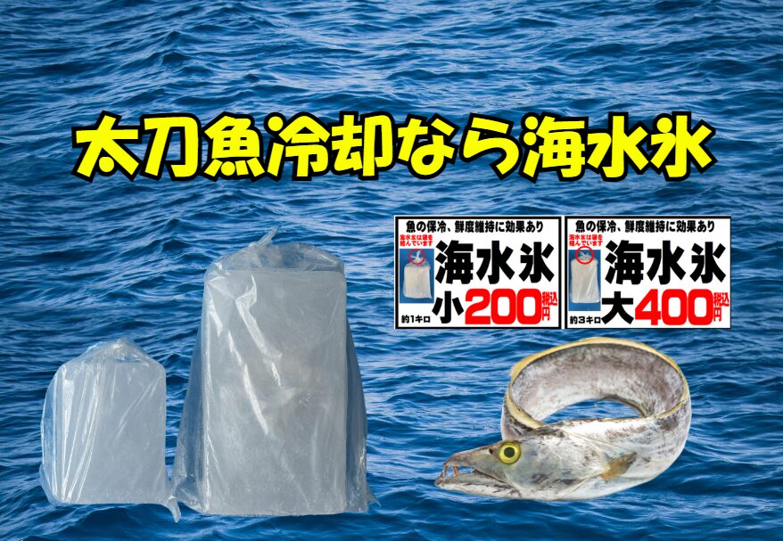 タチウオの冷却には普通氷より海水氷が断然おすすめ｜AIが科学的に数値化して徹底解説。釣太郎