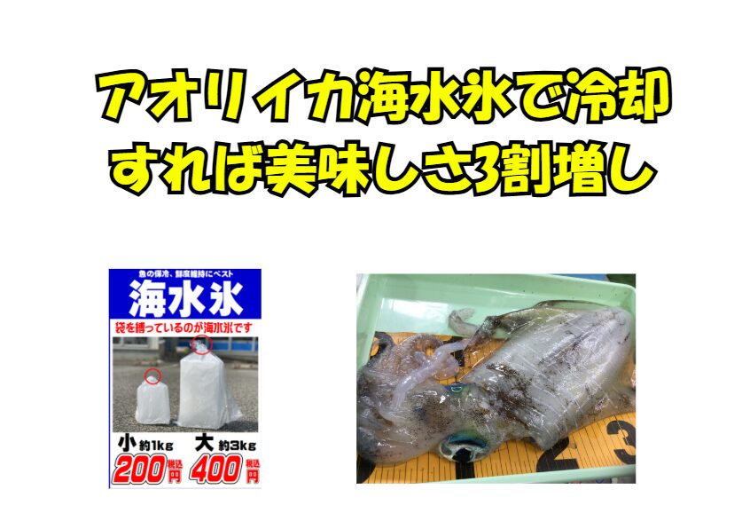 水道水氷は塩分ゼロで浸透圧差により細胞が壊れる。海水氷は体液と近く、ドリップを防ぎ旨味が逃げない。結果、味・甘み・透明度すべてで25〜30％美味しくなる。アオリイカの冷却は「海水氷一択」が結論。釣太郎